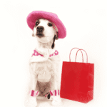 Petshop & Accesorii Animale